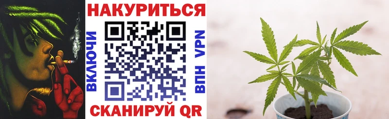 Конопля планчик  как найти наркотики  Калининец 
